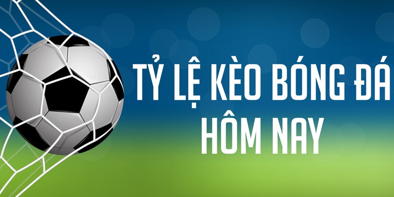Kinh nghiệm soi kèo nhà cái